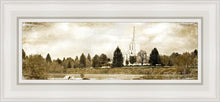 Load image into Gallery viewer, Idaho Falls Vintage
