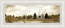 Load image into Gallery viewer, Idaho Falls Vintage
