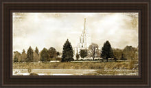 Load image into Gallery viewer, Idaho Falls Vintage