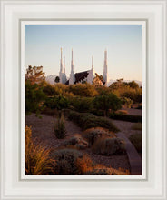 Load image into Gallery viewer, Las Vegas Desert Garden
