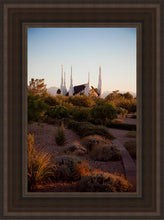 Load image into Gallery viewer, Las Vegas Desert Garden