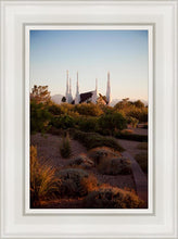 Load image into Gallery viewer, Las Vegas Desert Garden