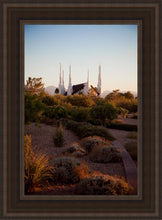 Load image into Gallery viewer, Las Vegas Desert Garden