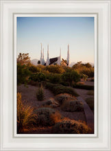 Load image into Gallery viewer, Las Vegas Desert Garden