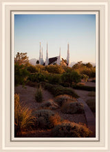 Load image into Gallery viewer, Las Vegas Desert Garden