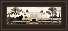 Load image into Gallery viewer, Mesa Vintage