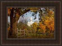 Load image into Gallery viewer, Nauvoo Young Street Farm