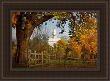 Load image into Gallery viewer, Nauvoo Young Street Farm