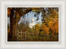 Load image into Gallery viewer, Nauvoo Young Street Farm