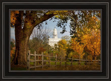 Load image into Gallery viewer, Nauvoo Young Street Farm