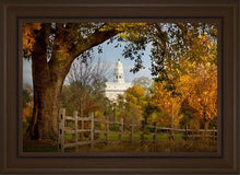Load image into Gallery viewer, Nauvoo Young Street Farm