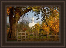 Load image into Gallery viewer, Nauvoo Young Street Farm