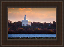 Load image into Gallery viewer, Nauvoo Miracle Of The Quail