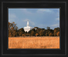 Load image into Gallery viewer, Nauvoo Fields