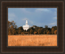 Load image into Gallery viewer, Nauvoo Fields