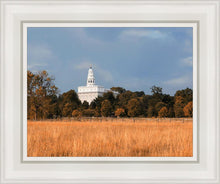 Load image into Gallery viewer, Nauvoo Fields