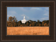 Load image into Gallery viewer, Nauvoo Fields
