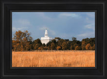 Load image into Gallery viewer, Nauvoo Fields