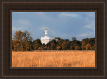 Load image into Gallery viewer, Nauvoo Fields