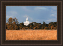 Load image into Gallery viewer, Nauvoo Fields