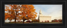 Load image into Gallery viewer, Nauvoo Changing Seasons