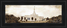 Load image into Gallery viewer, Palmyra Vintage