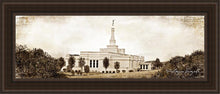 Load image into Gallery viewer, Palmyra Vintage