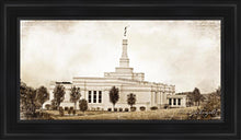 Load image into Gallery viewer, Palmyra Vintage