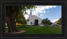 Load image into Gallery viewer, Saint George Fall Leaves