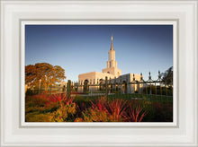 Load image into Gallery viewer, Sacramento Red Monkey Grass