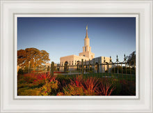 Load image into Gallery viewer, Sacramento Red Monkey Grass