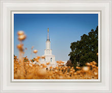 Load image into Gallery viewer, Sacramento Cotton Grass