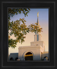 Load image into Gallery viewer, Sacramento Close Crop