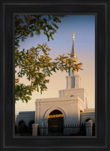 Load image into Gallery viewer, Sacramento Close Crop