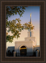 Load image into Gallery viewer, Sacramento Close Crop