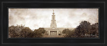 Load image into Gallery viewer, San Antonio Vintage