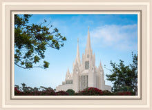 Load image into Gallery viewer, San Diego California Towering Spires