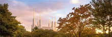 Load image into Gallery viewer, Washington DC Sunset