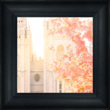 Load image into Gallery viewer, Salt Lake Blossom Glow