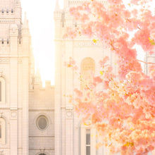 Load image into Gallery viewer, Salt Lake Blossom Glow