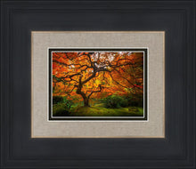Load image into Gallery viewer, Tree of Perspective
