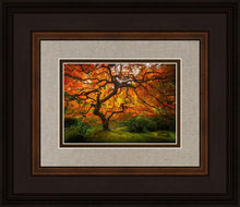 Load image into Gallery viewer, Tree of Perspective