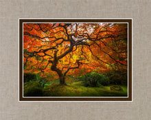 Load image into Gallery viewer, Tree of Perspective