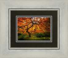 Load image into Gallery viewer, Tree of Perspective