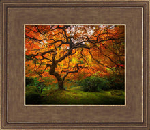 Load image into Gallery viewer, Tree of Perspective
