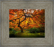 Load image into Gallery viewer, Tree of Perspective