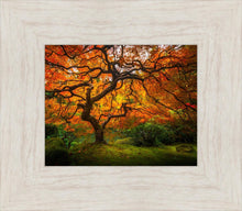 Load image into Gallery viewer, Tree of Perspective