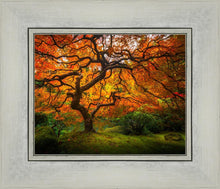 Load image into Gallery viewer, Tree of Perspective
