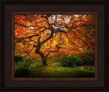 Load image into Gallery viewer, Tree of Perspective