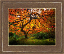 Load image into Gallery viewer, Tree of Perspective
